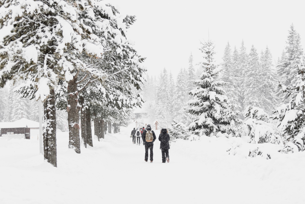 uk braced for significant snowstorm bringing potential white christmas